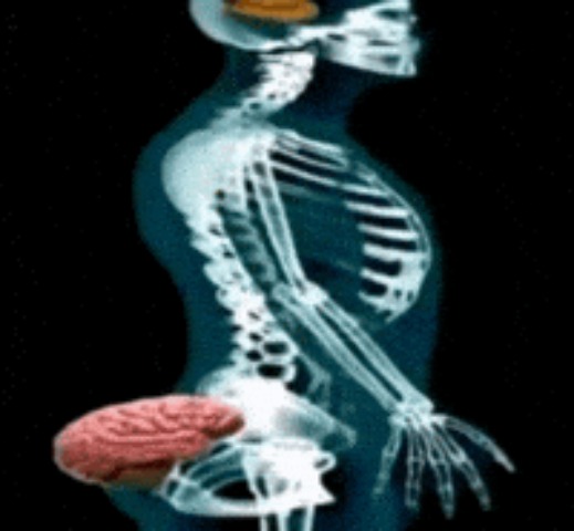 headass | image tagged in headass | made w/ Imgflip meme maker