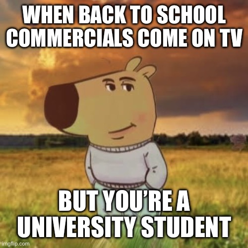 University students would relate to this | WHEN BACK TO SCHOOL COMMERCIALS COME ON TV; BUT YOU’RE A UNIVERSITY STUDENT | image tagged in chill guy | made w/ Imgflip meme maker
