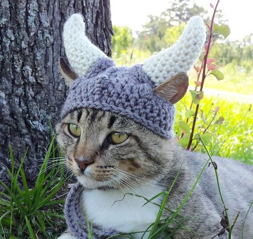 Viking cat crochete hat | image tagged in viking cat crochete hat | made w/ Imgflip meme maker