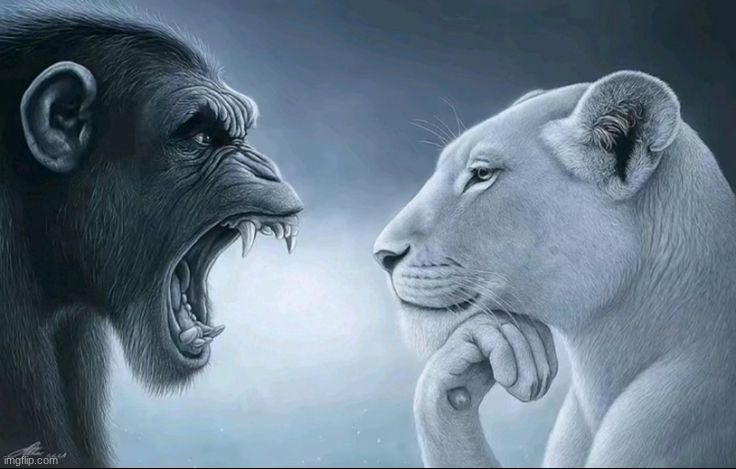 somethings wrong here | image tagged in monkey roaring at lion | made w/ Imgflip meme maker