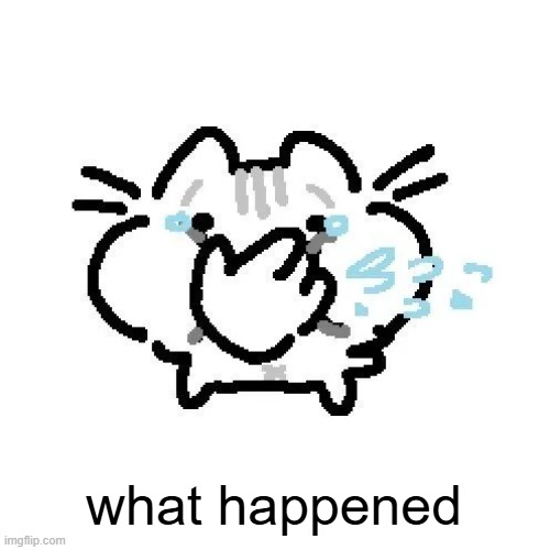 basiileaf cat laughing | what happened | image tagged in basiileaf cat laughing | made w/ Imgflip meme maker