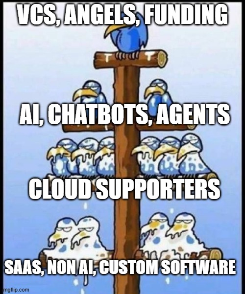 How VC funding flows down | VCS, ANGELS, FUNDING; AI, CHATBOTS, AGENTS; CLOUD SUPPORTERS; SAAS, NON AI, CUSTOM SOFTWARE | image tagged in bird hierachy | made w/ Imgflip meme maker