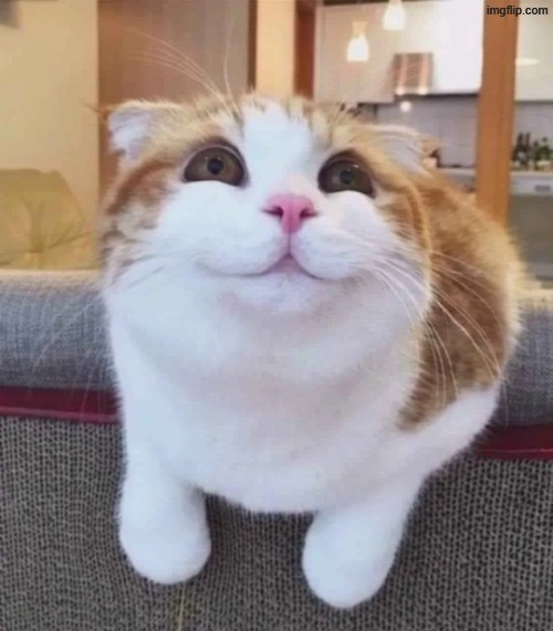 just kidding!!!! you guys are great <3 | made w/ Imgflip meme maker