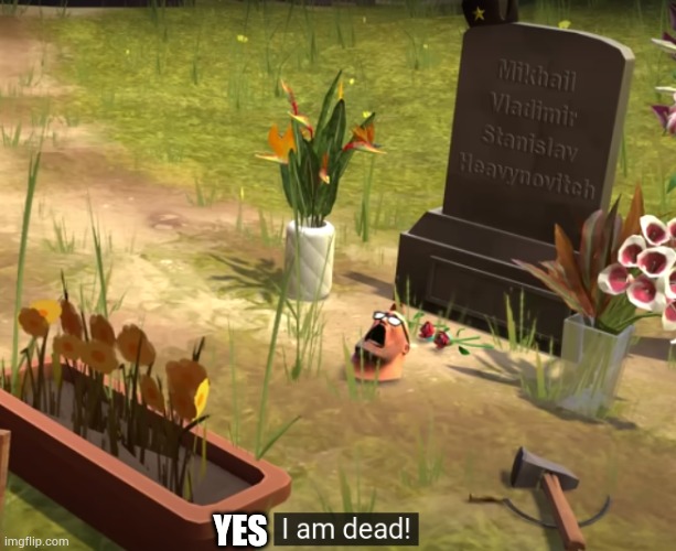 I am dead! | YES | image tagged in i am dead | made w/ Imgflip meme maker