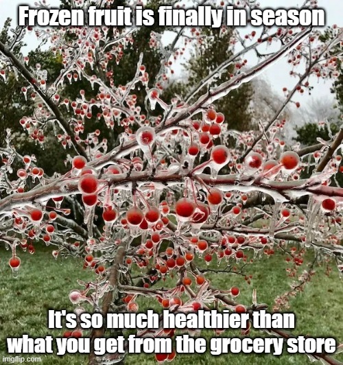Frozen Fruit | Frozen fruit is finally in season; It's so much healthier than what you get from the grocery store | image tagged in nature,fruit,frozen,food | made w/ Imgflip meme maker