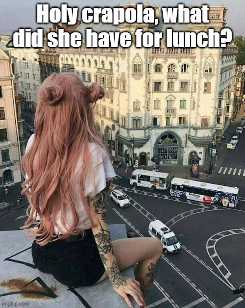 Crappy View | Holy crapola, what did she have for lunch? | image tagged in scorcher,what did you eat,view,pu | made w/ Imgflip meme maker