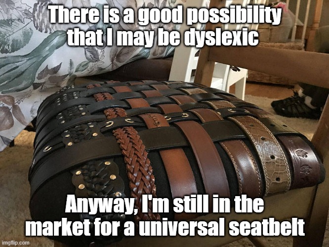 Belt Seat | There is a good possibility that I may be dyslexic; Anyway, I'm still in the market for a universal seatbelt | image tagged in dyslexia,seat,belt,mixed up | made w/ Imgflip meme maker
