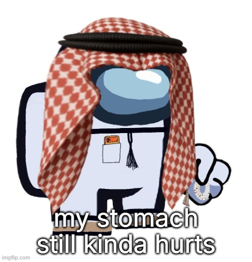 ArabMogus (thanks eshaheer) | my stomach still kinda hurts | image tagged in arabmogus thanks eshaheer | made w/ Imgflip meme maker