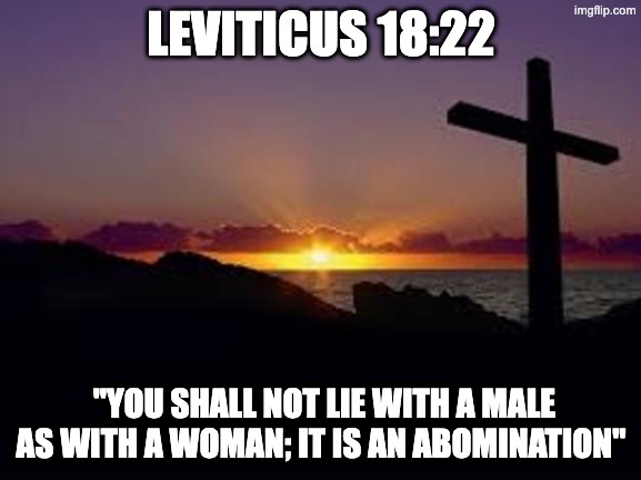 one of my favorites | LEVITICUS 18:22; "YOU SHALL NOT LIE WITH A MALE AS WITH A WOMAN; IT IS AN ABOMINATION" | image tagged in cross | made w/ Imgflip meme maker