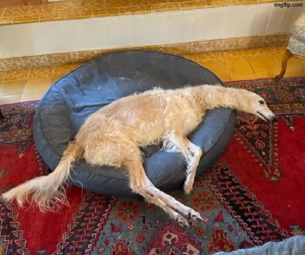 why does he look like That | made w/ Imgflip meme maker