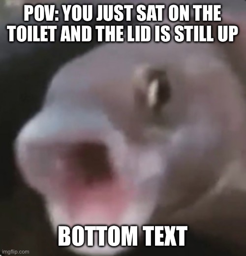 Bro sitting on the toilet without the seat down should be a torture method | POV: YOU JUST SAT ON THE TOILET AND THE LID IS STILL UP; BOTTOM TEXT | image tagged in poggers fish,memes,so true,toilet,pog,bottom text | made w/ Imgflip meme maker