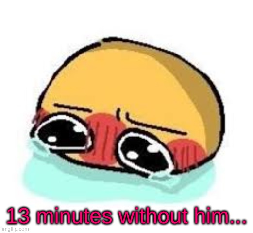 why do we need sleep. why can't we just do photosynthesis or some shit | 13 minutes without him... | image tagged in amb shamb bbbmba | made w/ Imgflip meme maker