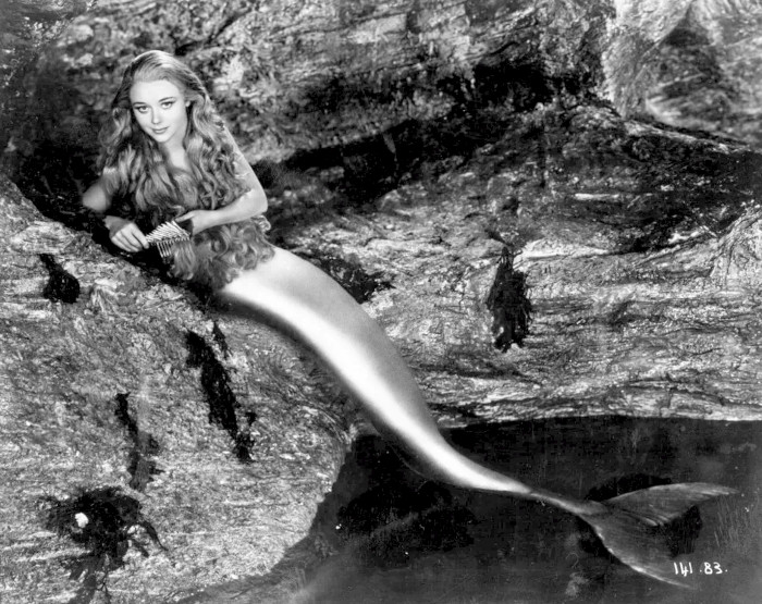 miranda Blank Meme Template