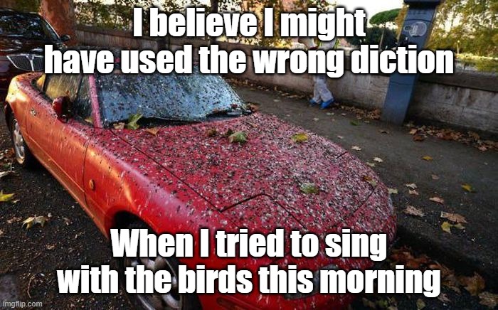 Crappy Day | I believe I might have used the wrong diction; When I tried to sing with the birds this morning | image tagged in car,birds,misunderstanding,tweet | made w/ Imgflip meme maker