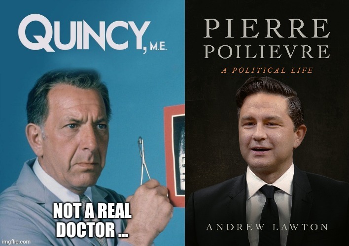 Canadian politics | image tagged in political meme | made w/ Imgflip meme maker