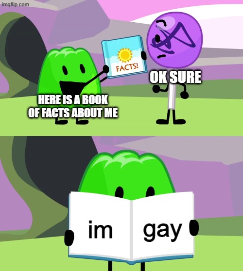 Gelatin's book of facts | OK SURE; HERE IS A BOOK OF FACTS ABOUT ME; gay; im | image tagged in gelatin's book of facts | made w/ Imgflip meme maker
