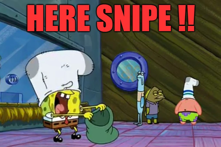 Put the Money In The Bag | HERE SNIPE !! | image tagged in put the money in the bag | made w/ Imgflip meme maker