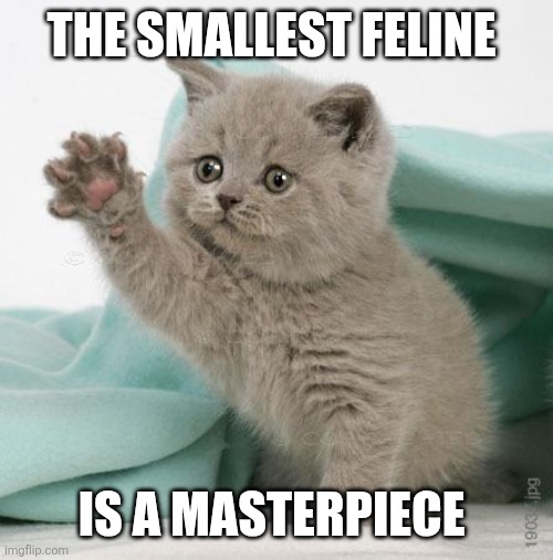 Kitten | THE SMALLEST FELINE; IS A MASTERPIECE | image tagged in sad kitten | made w/ Imgflip meme maker