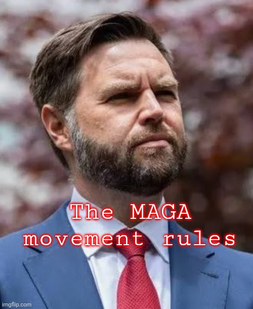 James David Vance | The MAGA movement rules | image tagged in james david vance | made w/ Imgflip meme maker