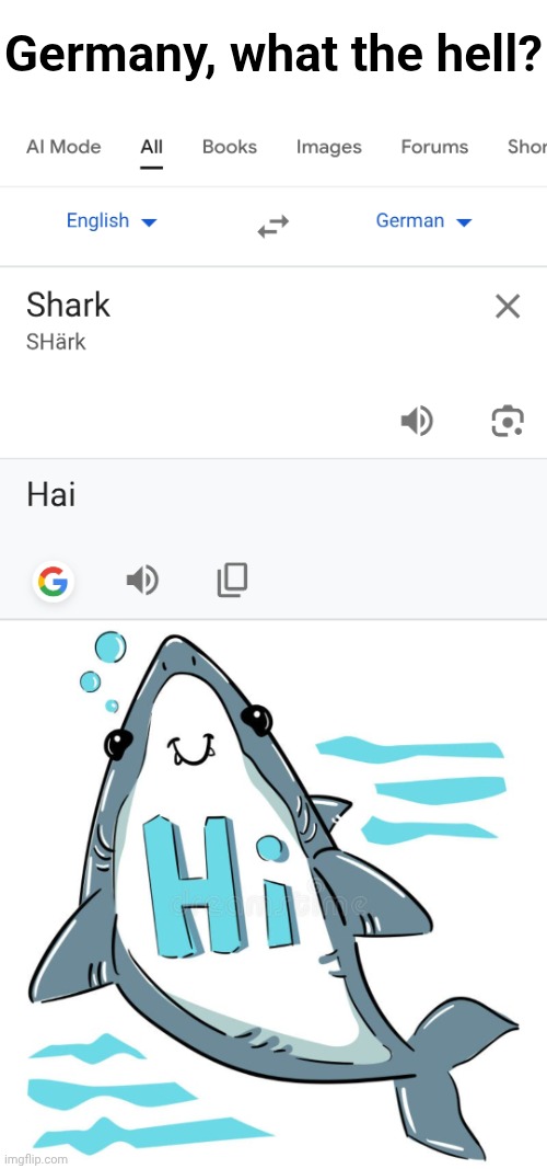 I have no words... | Germany, what the hell? | image tagged in no tags either | made w/ Imgflip meme maker