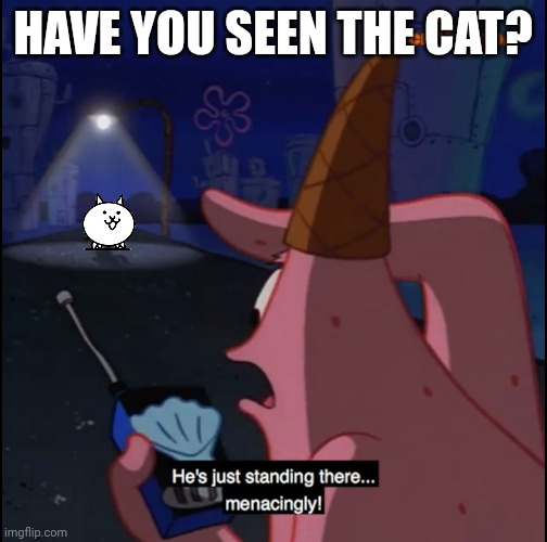 A cat | HAVE YOU SEEN THE CAT? | image tagged in standing there menacingly | made w/ Imgflip meme maker