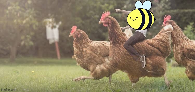 Man riding chicken | image tagged in man riding chicken | made w/ Imgflip meme maker