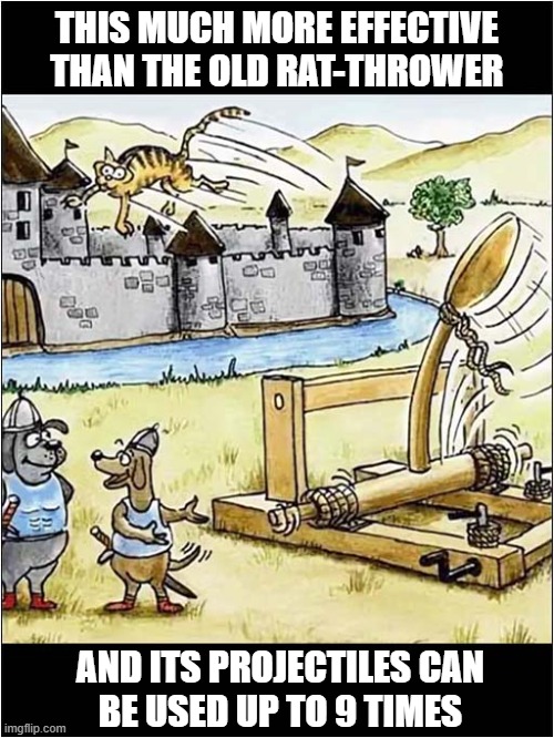 The Medieval Cat Thrower | THIS MUCH MORE EFFECTIVE THAN THE OLD RAT-THROWER; AND ITS PROJECTILES CAN
BE USED UP TO 9 TIMES | image tagged in dogs,medieval,cats,catapult | made w/ Imgflip meme maker