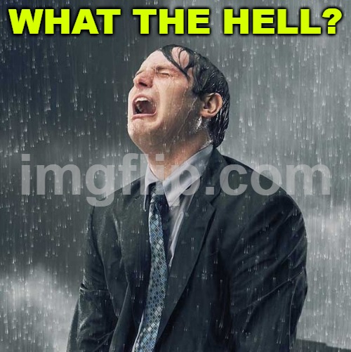 Crying in the rain | WHAT THE HELL? | image tagged in crying in the rain | made w/ Imgflip meme maker