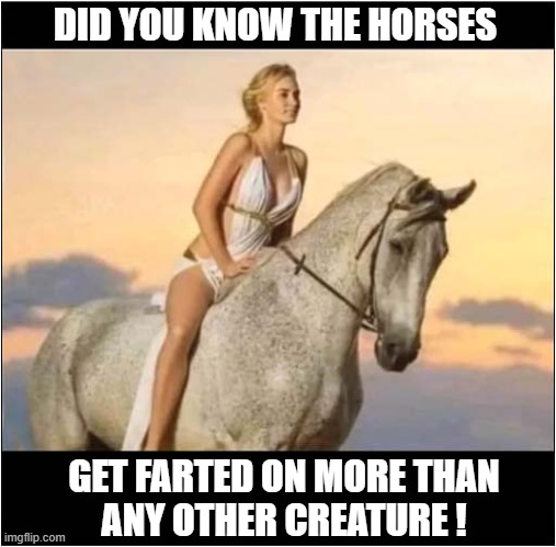 An Interesting Factoid | DID YOU KNOW THE HORSES; GET FARTED ON MORE THAN
ANY OTHER CREATURE ! | image tagged in horses,farts,factoid | made w/ Imgflip meme maker