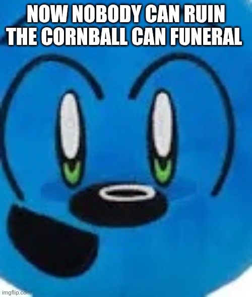 Riggy face | NOW NOBODY CAN RUIN THE CORNBALL CAN FUNERAL | image tagged in riggy face | made w/ Imgflip meme maker