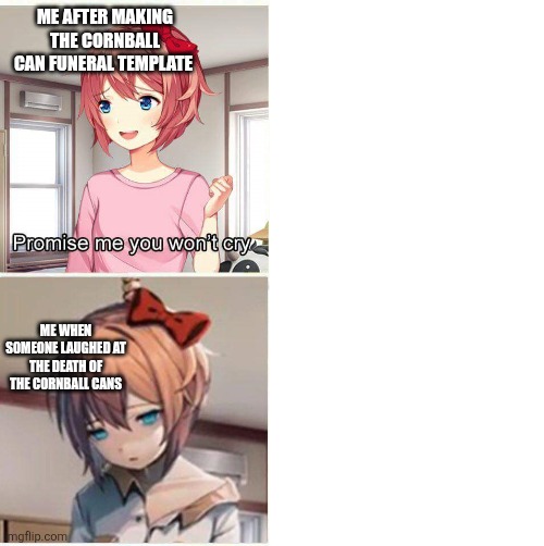 WORST ENDING EVER | ME AFTER MAKING THE CORNBALL CAN FUNERAL TEMPLATE; ME WHEN SOMEONE LAUGHED AT THE DEATH OF THE CORNBALL CANS | image tagged in promise you won't cry | made w/ Imgflip meme maker