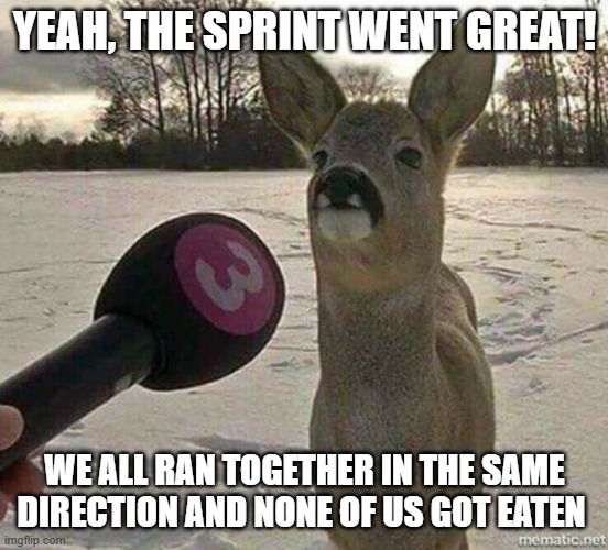 Software dev deer | YEAH, THE SPRINT WENT GREAT! WE ALL RAN TOGETHER IN THE SAME DIRECTION AND NONE OF US GOT EATEN | image tagged in deer interviewed,software,agile,development | made w/ Imgflip meme maker
