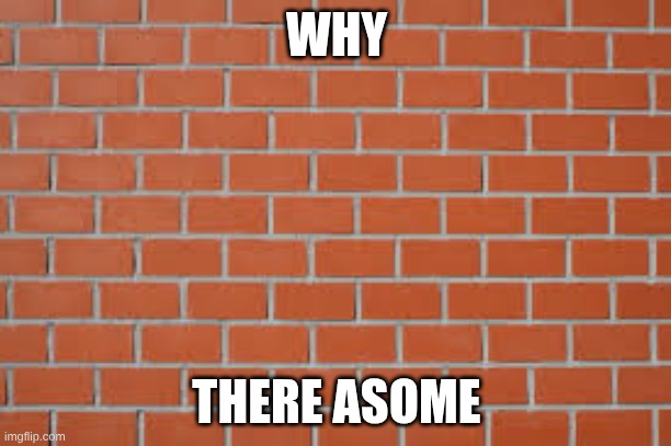 brick wall | WHY THERE ASOME | image tagged in brick wall | made w/ Imgflip meme maker
