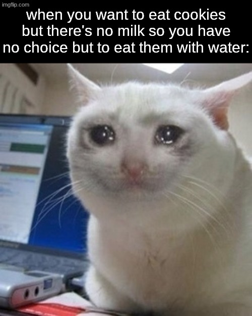 that feeling is worse than depression, children | when you want to eat cookies but there's no milk so you have no choice but to eat them with water: | image tagged in crying cat,memes,relatable | made w/ Imgflip meme maker