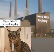 Cat factory Blank Meme Template