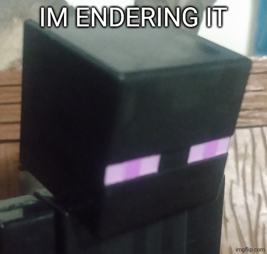 Enderman stare | IM ENDERING IT | image tagged in enderman stare | made w/ Imgflip meme maker