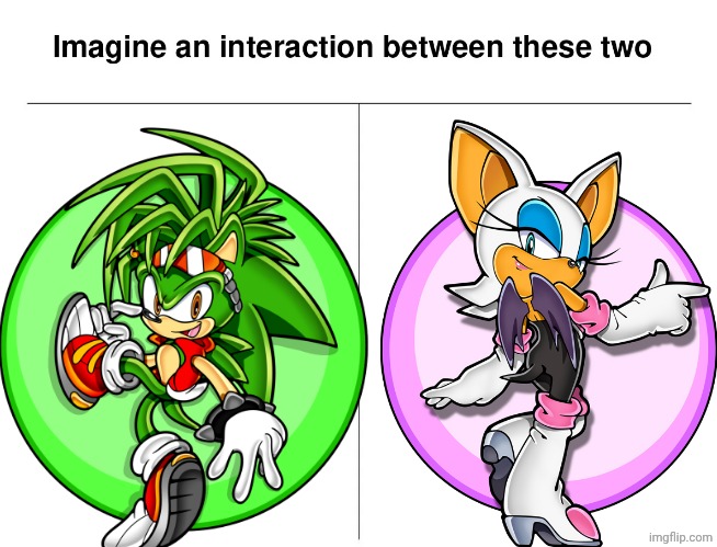 Thieves Code, but only one follows it. ? | image tagged in imagine an interaction between these 2,sega,sonic the hedgehog,rouge the bat,manic the hedgehog,sonic underground | made w/ Imgflip meme maker