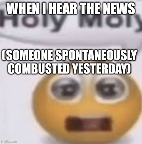 Spontaneous Combustion | WHEN I HEAR THE NEWS; (SOMEONE SPONTANEOUSLY COMBUSTED YESTERDAY) | image tagged in holay molay | made w/ Imgflip meme maker