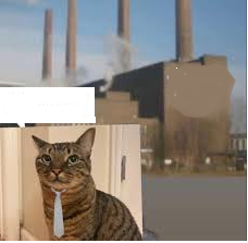 Cat factory Blank Meme Template