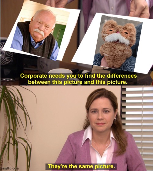 They're The Same Picture | image tagged in memes,they're the same picture | made w/ Imgflip meme maker