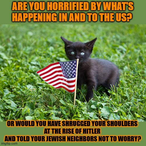 This #lolcat wonders why hoo-mens chose to close the curtains | ARE YOU HORRIFIED BY WHAT'S HAPPENING IN AND TO THE US? OR WOULD YOU HAVE SHRUGGED YOUR SHOULDERS 
AT THE RISE OF HITLER 
AND TOLD YOUR JEWISH NEIGHBORS NOT TO WORRY? | image tagged in fascism,adolf hitler,usa,lolcat,donald trump | made w/ Imgflip meme maker