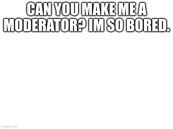 please? | CAN YOU MAKE ME A MODERATOR? IM SO BORED. | image tagged in please,make me a sandwich | made w/ Imgflip meme maker