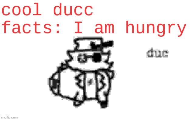 I have quite the starvation. I would like to pursue something to eat. Perhaps some fresh meat cooked over an open flame. | cool ducc facts: I am hungry | image tagged in ducc's loaf temp v3 | made w/ Imgflip meme maker