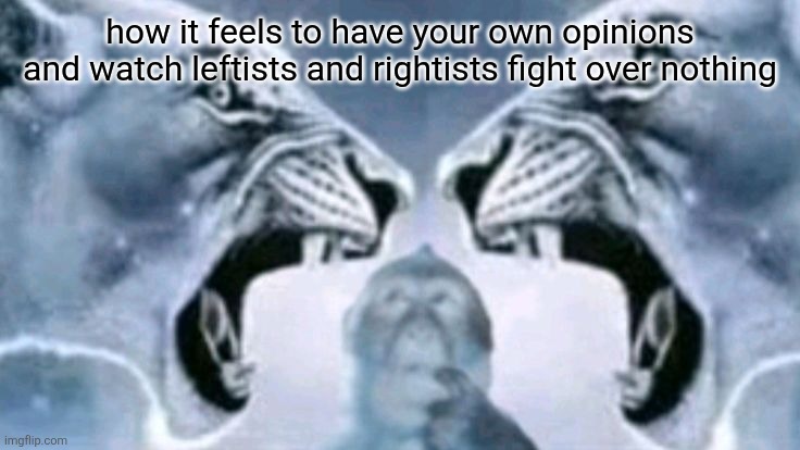 Lion roaring at lion with confused monkey | how it feels to have your own opinions and watch leftists and rightists fight over nothing | image tagged in lion roaring at lion with confused monkey | made w/ Imgflip meme maker