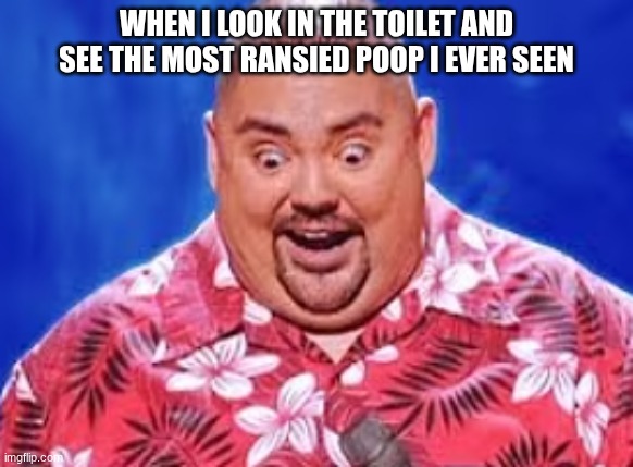 why do people do this? | WHEN I LOOK IN THE TOILET AND SEE THE MOST RANSIED POOP I EVER SEEN | image tagged in fun,a random meme | made w/ Imgflip meme maker