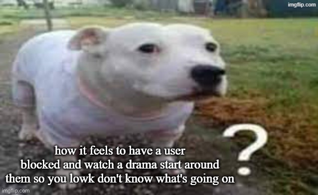 Dog question mark | how it feels to have a user blocked and watch a drama start around them so you lowk don't know what's going on | image tagged in dog question mark | made w/ Imgflip meme maker