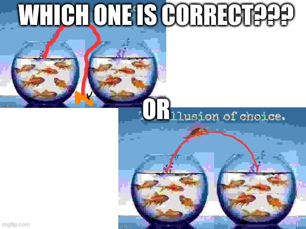which trajectory is true? | WHICH ONE IS CORRECT??? OR | made w/ Imgflip meme maker