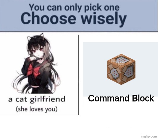 Choose wisely | Command Block | image tagged in choose wisely | made w/ Imgflip meme maker