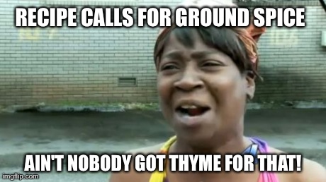 Ain't Nobody Got Time For That | RECIPE CALLS FOR GROUND SPICE AIN'T NOBODY GOT THYME FOR THAT! | image tagged in memes,aint nobody got time for that,AdviceAnimals | made w/ Imgflip meme maker