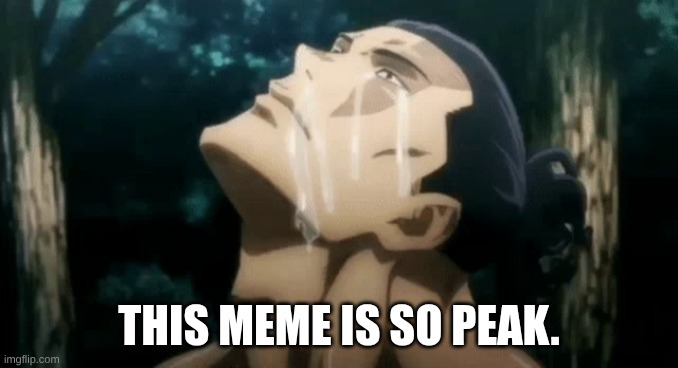 aoi jujutsu kaisen | THIS MEME IS SO PEAK. | image tagged in aoi jujutsu kaisen | made w/ Imgflip meme maker